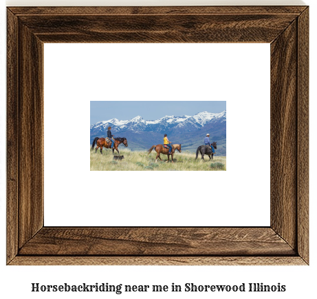 horseback riding near me in Shorewood, Illinois